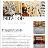 Driwood-newsletter-example