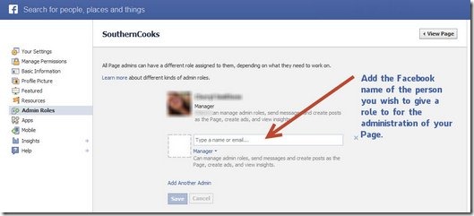 Step 3 of Add New Page Manager for Facebook Pages